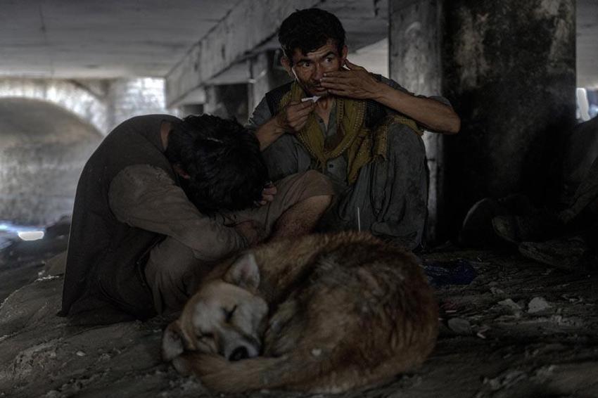 Kabil’den dehşete düşüren kareler! Cesetler sokaklara taştı, köpekler bile kullanıyor...