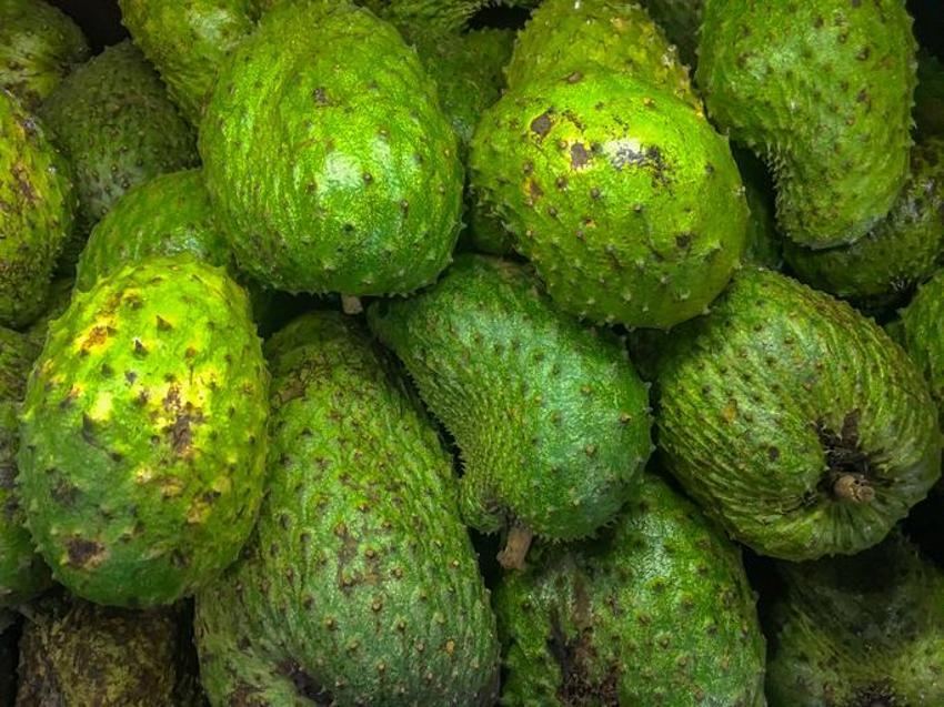 Kanser hücrelerini öldürüyor, kemoterapinin yapamadığını yapıyor! Kan şekerini de...