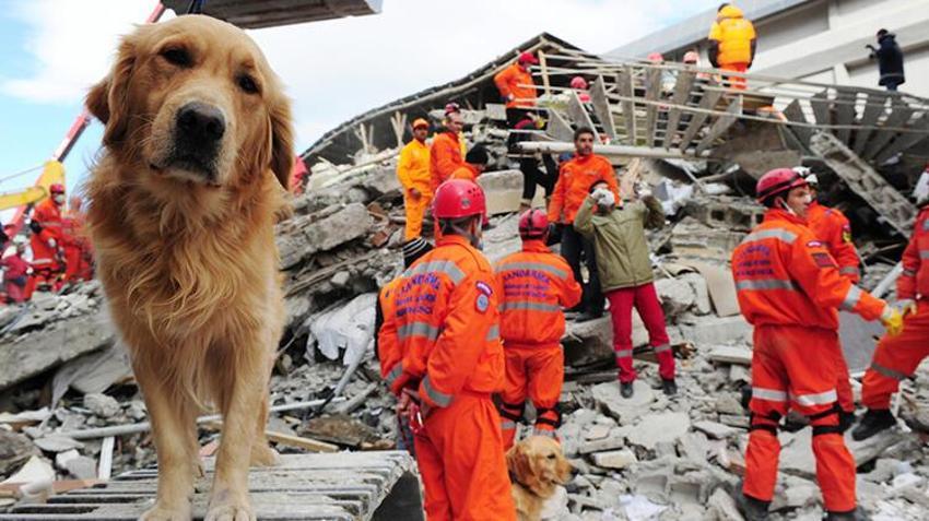 Deprem ile ilgili son dakika açıklaması! Deprem olasılığı artık çok yüksek! 45 ili 110 ilçeyi vuracak! İstanbul, Ankara, İzmir...