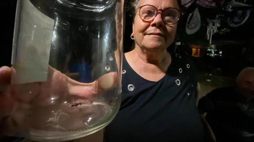Antalya'da insan yüzlü örümcek görenleri şaşkına çevirdi