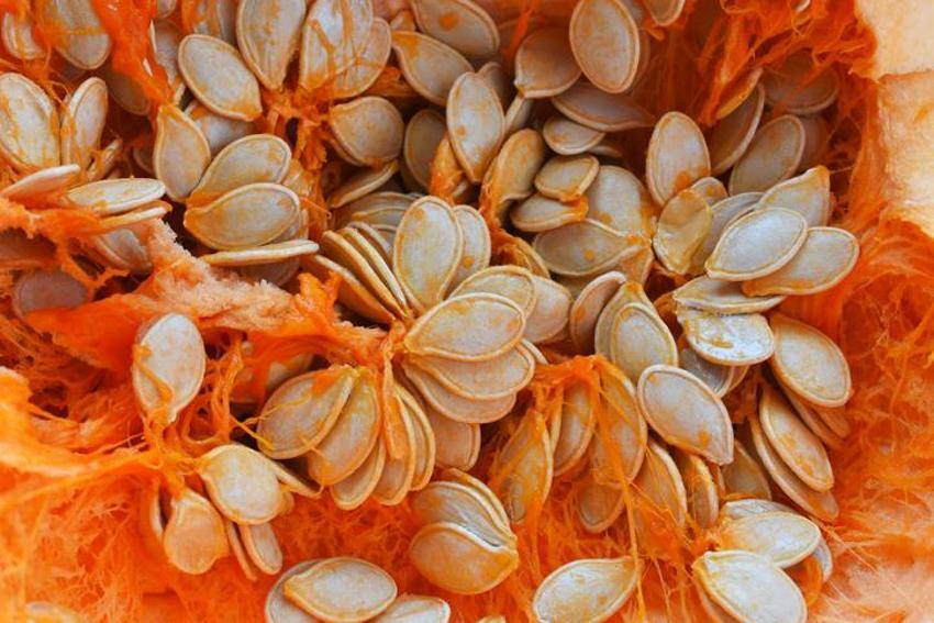 Sperm kalitesini artırıyor, cinsel sağlığı koruyor! Kan şekerini düzenliyor, kolesterol, diyabet, kanser...