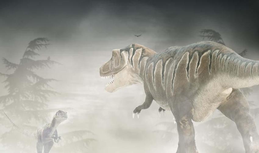 Dinozorlar döneminden kalan 10 hayvan! İnsanların korkulu rüyası: Halen aramızdalar kökenleri tarih öncesine kadar uzanıyor...