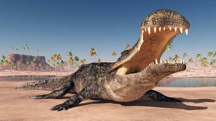 Dinozorlar döneminden kalan 10 hayvan! İnsanların korkulu rüyası: Halen aramızdalar kökenleri tarih öncesine kadar uzanıyor...