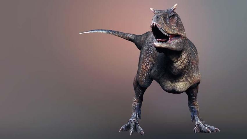 Dinozorlar döneminden kalan 10 hayvan! İnsanların korkulu rüyası: Halen aramızdalar kökenleri tarih öncesine kadar uzanıyor...