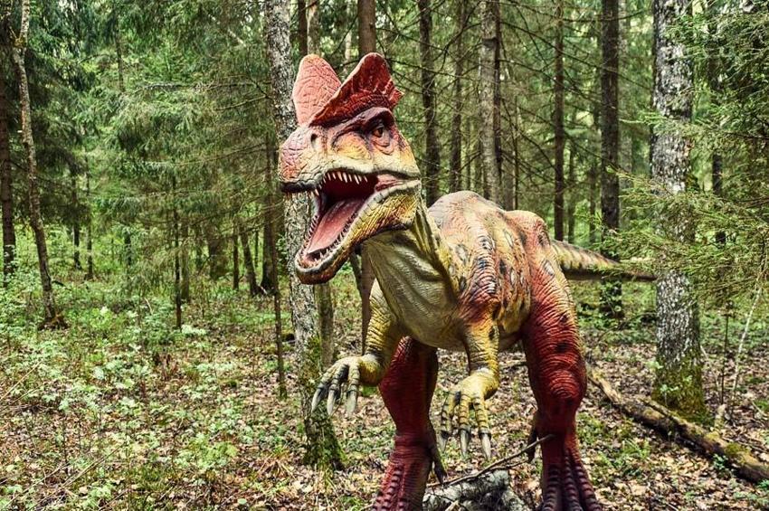 Dinozorlar döneminden kalan 10 hayvan! İnsanların korkulu rüyası: Halen aramızdalar kökenleri tarih öncesine kadar uzanıyor...