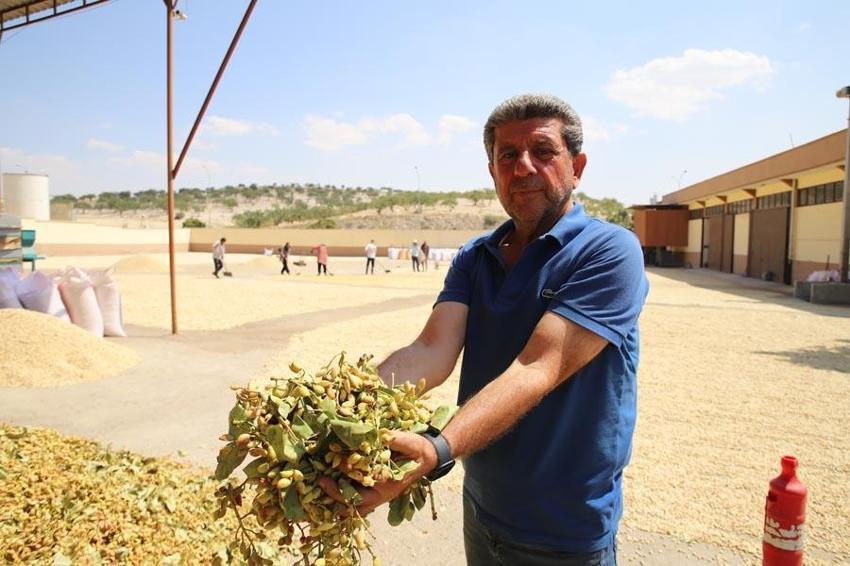 Paraya para demiyorlar! Haftalık 100 milyon lira! Fiyatı bu ilçe belirliyor