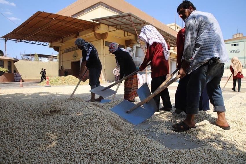 Paraya para demiyorlar! Haftalık 100 milyon lira! Fiyatı bu ilçe belirliyor