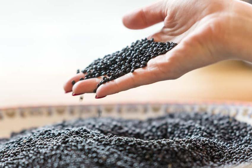 Süper besinler yaşantımızın kalitesini yükseltecek! Antioksidan, vitamin ve mineraller...