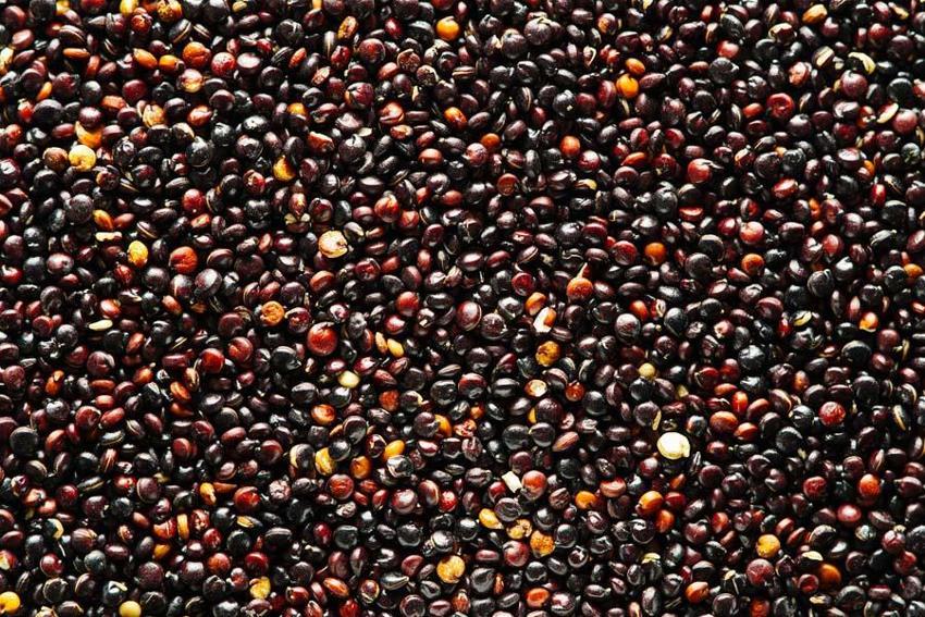 Süper besinler yaşantımızın kalitesini yükseltecek! Antioksidan, vitamin ve mineraller...