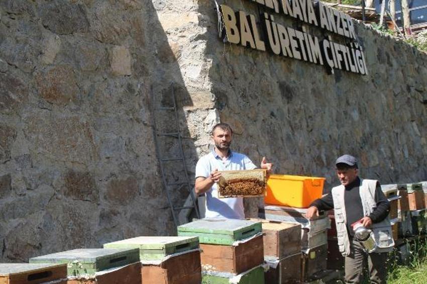 Paraya para demiyorlar! 1 ton ön sipariş alındı! Kilosu 2 bin 500 lira...