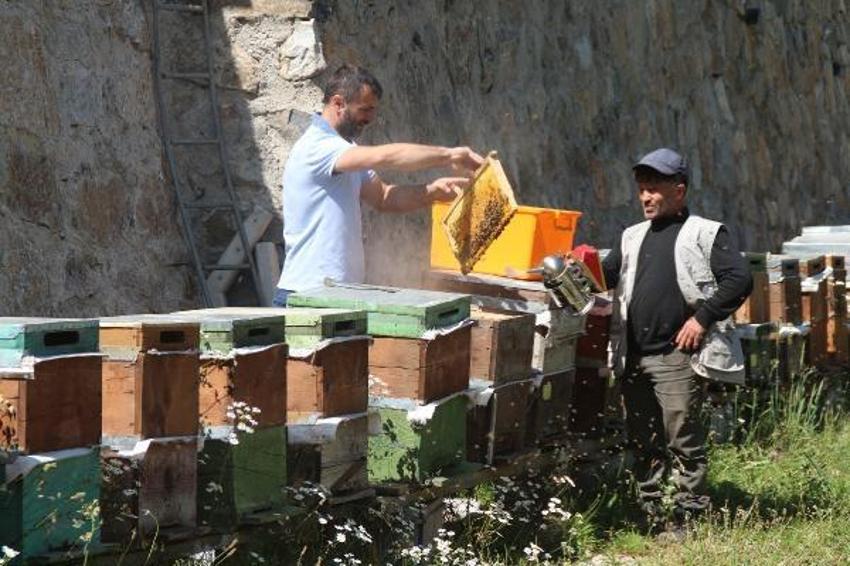 Paraya para demiyorlar! 1 ton ön sipariş alındı! Kilosu 2 bin 500 lira...