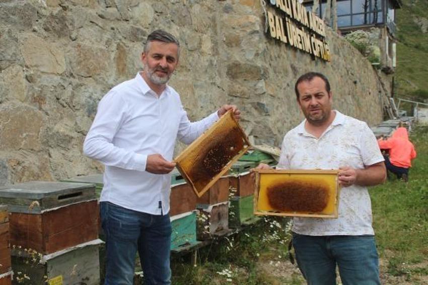 Paraya para demiyorlar! 1 ton ön sipariş alındı! Kilosu 2 bin 500 lira...