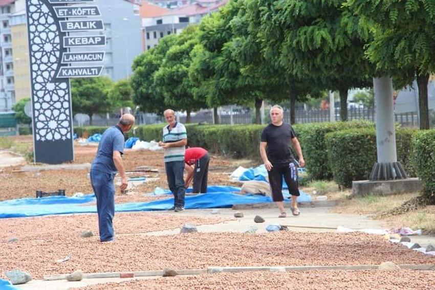 Üreticiler Karadeniz Sahil Yolu'nu harmana çevirdi! Süreyi 1 hafta kısaltıyor