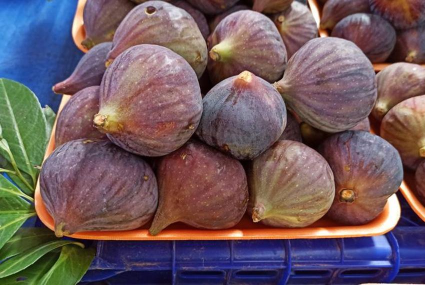 Hipertansiyonu dengeliyor, kemik erimesini yavaşlatıyor! Yedikten sonra bir bardak su içenlerde...  