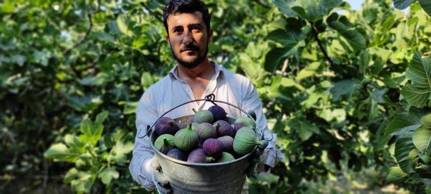 Dünyada sadece Türkiye'de var! Kilosu 25 lira