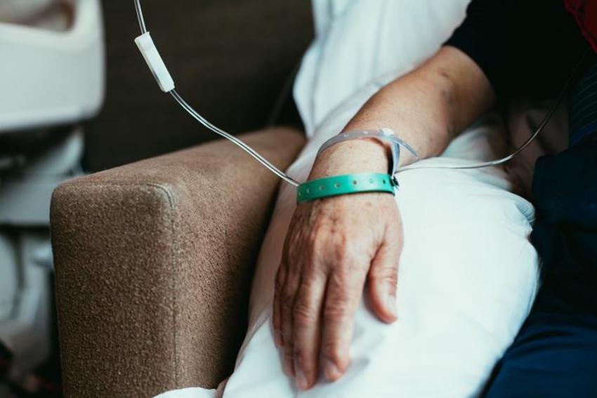 Alzheimer ve kansere karşı savaşıyor! Kan şekerini kontrol ediyor, kolesterol riskini azaltıyor...