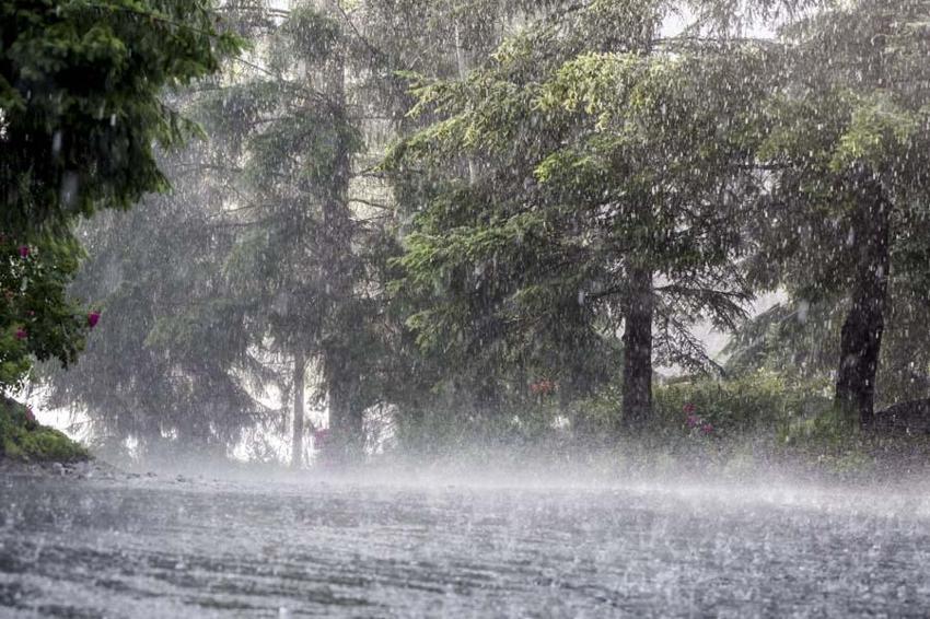 Meteoroloji son dakika il il uyardı! 5 günlük hava tahmin raporunu açıklandı: İstanbul ve birçok şehir için sağanak uyarısı geldi...