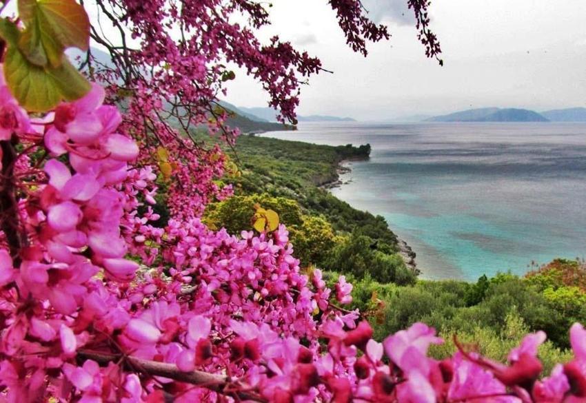 Meteoroloji son dakika il il uyardı! 5 günlük hava tahmin raporunu açıklandı: İstanbul ve birçok şehir için sağanak uyarısı geldi...