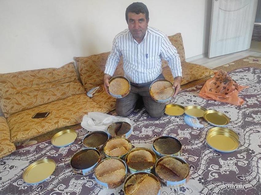 Paraya para demiyor! Ağaç kovuğundan çıkarıyor, kilosu 1500 lira