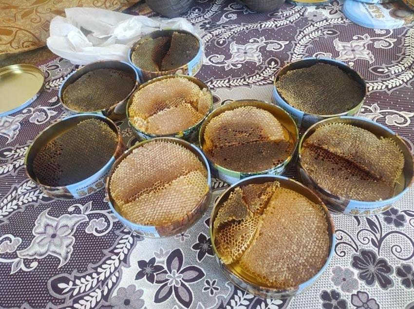 Paraya para demiyor! Ağaç kovuğundan çıkarıyor, kilosu 1500 lira