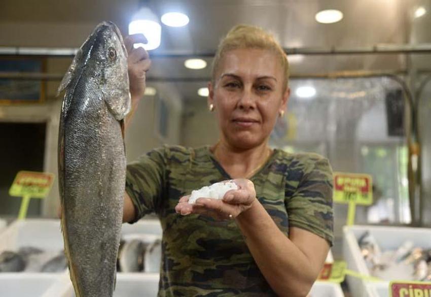 Kilosu 1000 liraya satılıyor, faydalarını duyan oraya koşuyor! Toz haline getirilip limon sıkılarak tüketiliyor