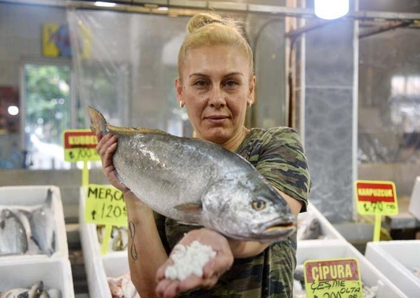 Kilosu 1000 liraya satılıyor, faydalarını duyan oraya koşuyor! Toz haline getirilip limon sıkılarak tüketiliyor