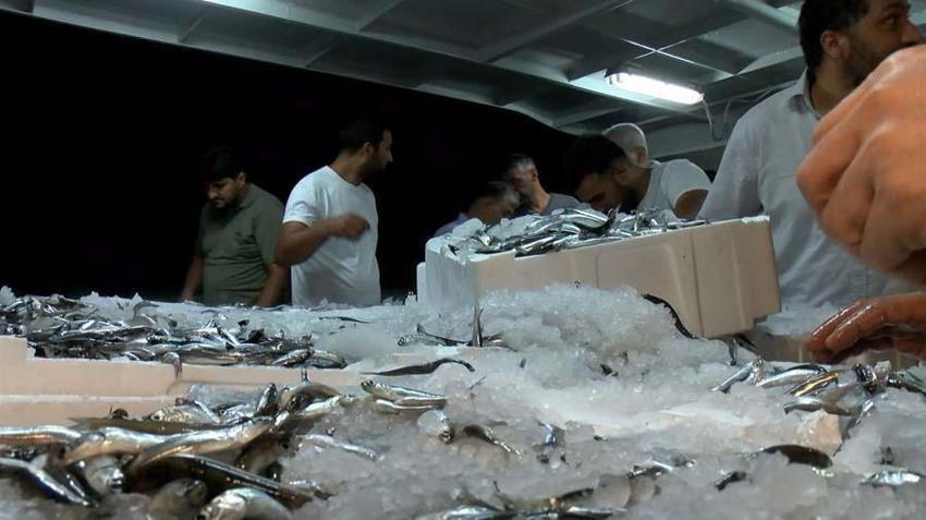 Balık sezonu başladı! Hamsi, palamut, tekir, kefal, lüfer ve istavritin fiyatları belli oldu...