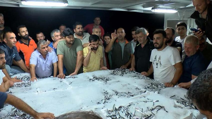 Balık sezonu başladı! Hamsi, palamut, tekir, kefal, lüfer ve istavritin fiyatları belli oldu...