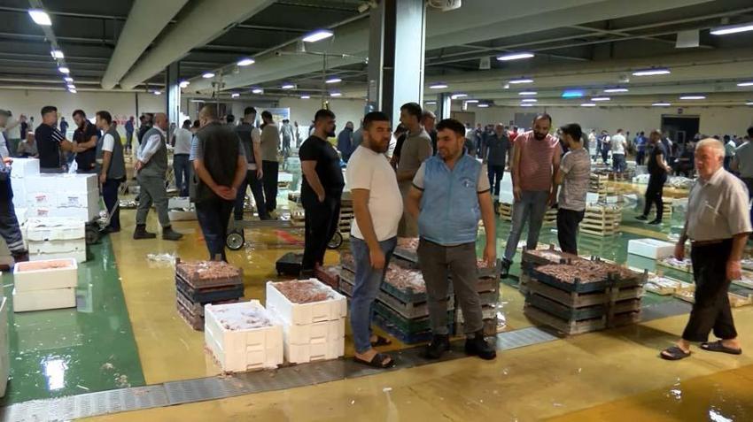 Balık sezonu başladı! Hamsi, palamut, tekir, kefal, lüfer ve istavritin fiyatları belli oldu...