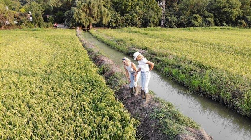 Paraya para demiyorlar! 25 yıldır bu işi yapıyorlar, beyaz altına talep yağıyor