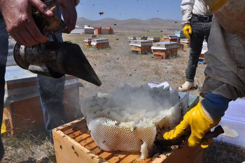 Paraya para demiyor! Kilosu 500 liradan satılıyor, 26 yıldır bu mesleği yapıyor