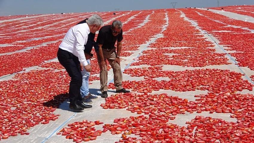Dünya ülkeleri sıraya girdi, bir ilimize 832 milyon lira kazandırdı! 'Raftaki fiyatı 20 dolar'