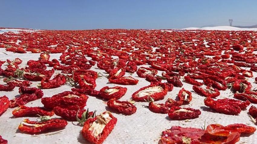 Dünya ülkeleri sıraya girdi, bir ilimize 832 milyon lira kazandırdı! 'Raftaki fiyatı 20 dolar'
