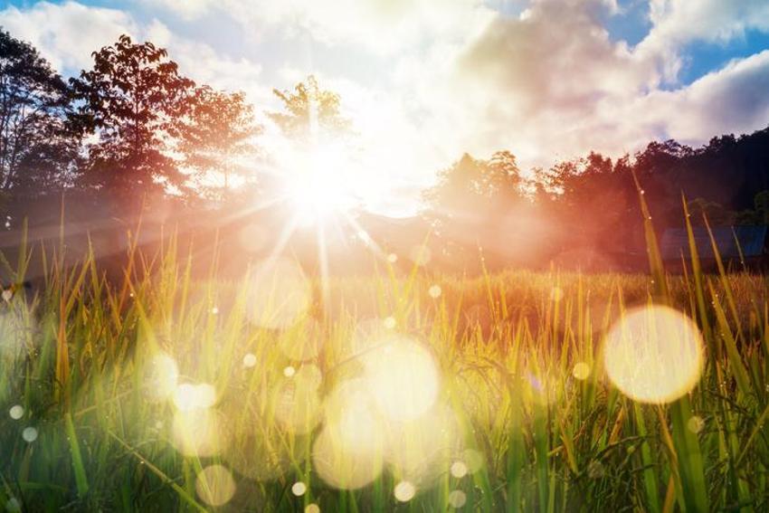 Meteoroloji'den 35 il için son dakika uyarısı! Hava tamamen değişiyor, sıcaklıklar düşecek! Şiddetli yağmur günlerce sürecek