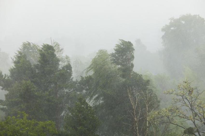 Kar yağışı ve şiddetli yağmur geliyor! Sıcaklık 9 derece düşecek, Meteoroloji son dakika duyurdu! Türkiye'de kış başlıyor
