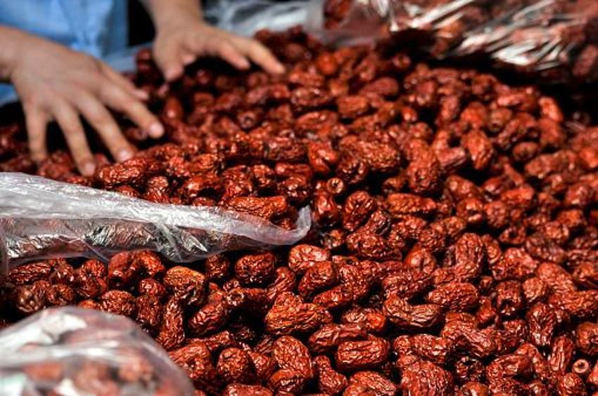Büyük gelir kaynağı oldu! Kilosu 20 liradan satılıyor