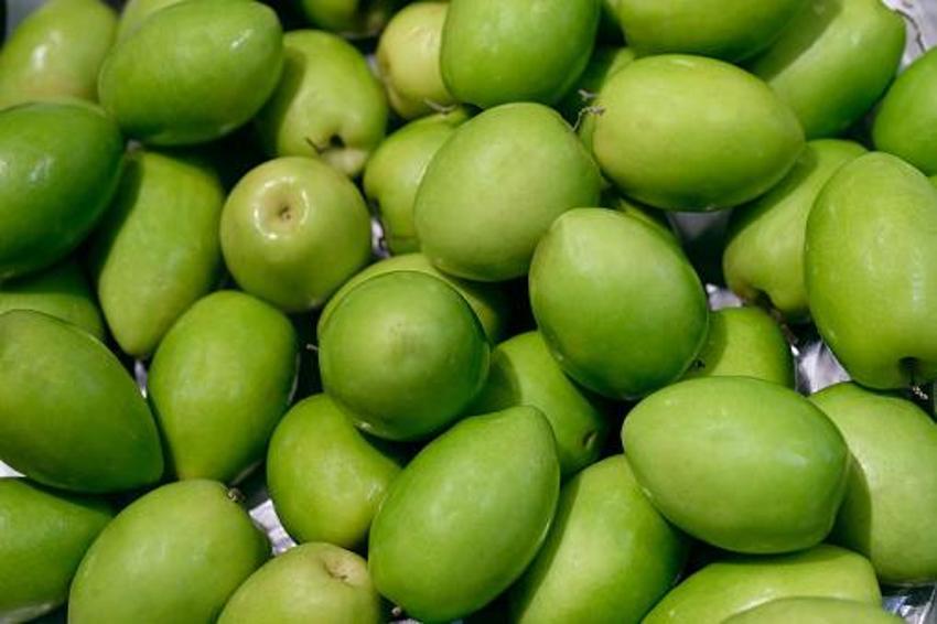 Büyük gelir kaynağı oldu! Kilosu 20 liradan satılıyor