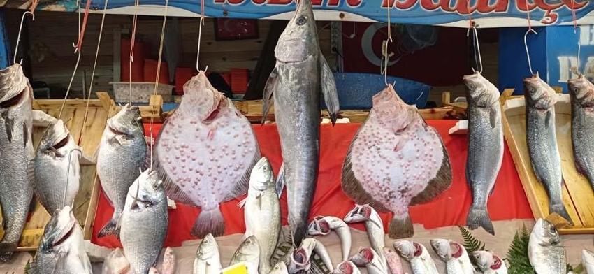 Sezon açıldı bolluk başladı! İşte Türkiye'nin 1 numaralı balık tercihi...
