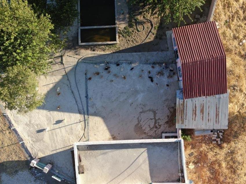 Yurt dışında gördü, Lice’de kurdu! Fiyatı 18 bin lira