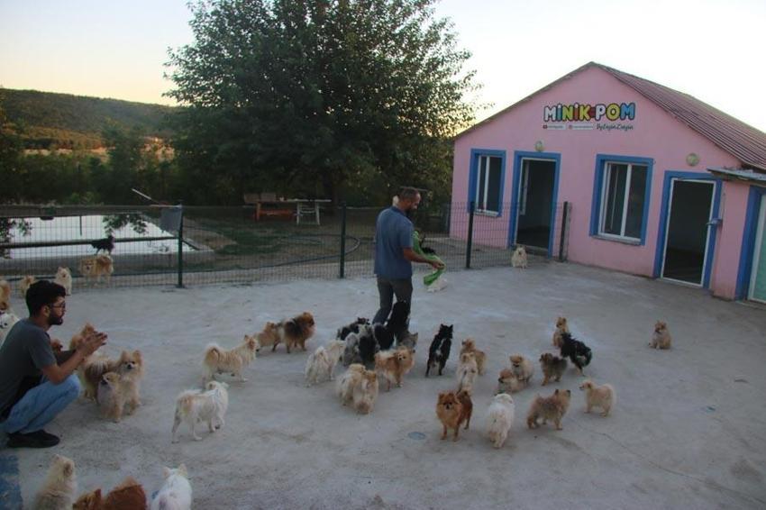 Yurt dışında gördü, Lice’de kurdu! Fiyatı 18 bin lira