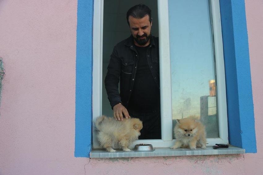 Yurt dışında gördü, Lice’de kurdu! Fiyatı 18 bin lira