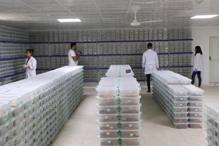 Bu işi yapan köşeyi dönüyor! Litresi 10 milyon dolar