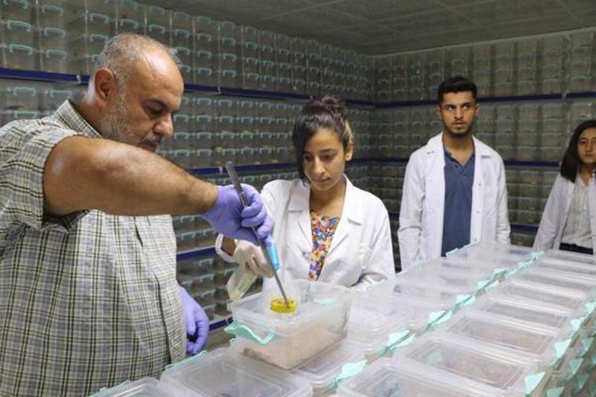 Bu işi yapan köşeyi dönüyor! Litresi 10 milyon dolar