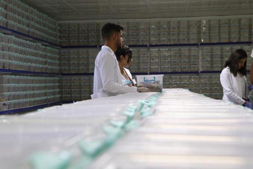 Bu işi yapan köşeyi dönüyor! Litresi 10 milyon dolar