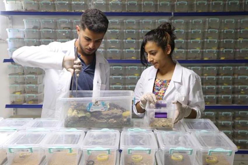 Bu işi yapan köşeyi dönüyor! Litresi 10 milyon dolar