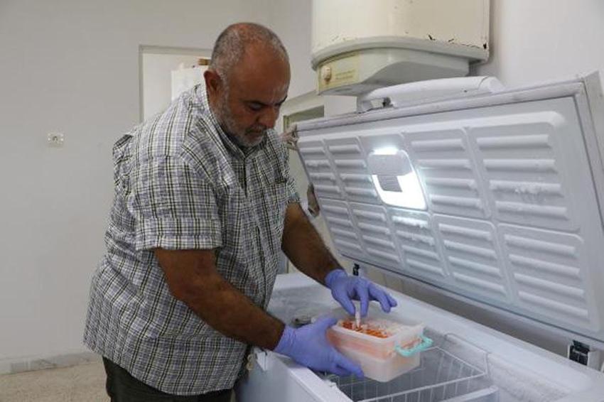 Bu işi yapan köşeyi dönüyor! Litresi 10 milyon dolar