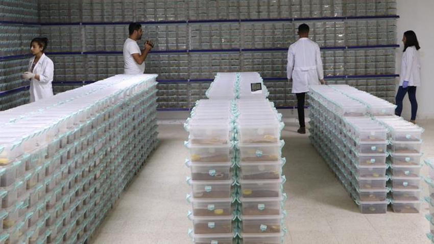 Bu işi yapan köşeyi dönüyor! Litresi 10 milyon dolar