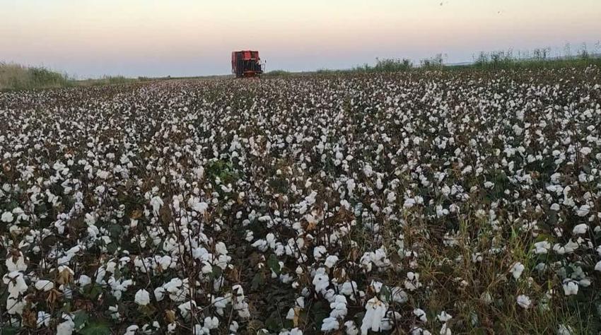 Yeni bir dönem başlıyor! ÇKS başvuruları, e-Devlet Kapısı üzerinden 1 Ekim tarihi itibarıyla hizmete açılıyor