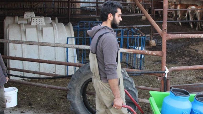 Üniversiteyi bitirip köyüne döndü! Büyük kazanç elde ediyor