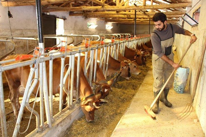 Üniversiteyi bitirip köyüne döndü! Büyük kazanç elde ediyor